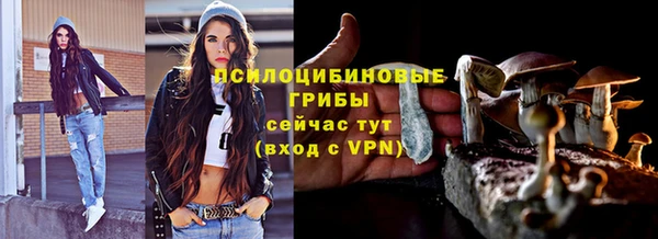 гидра Балабаново