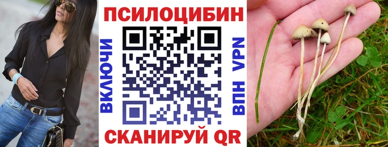 Псилоцибиновые грибы Cubensis  Семёнов 